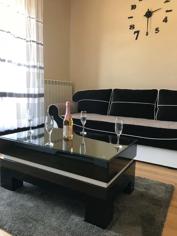 Apartman Dragisic Kalman J15,D8 兹拉蒂博尔 外观 照片