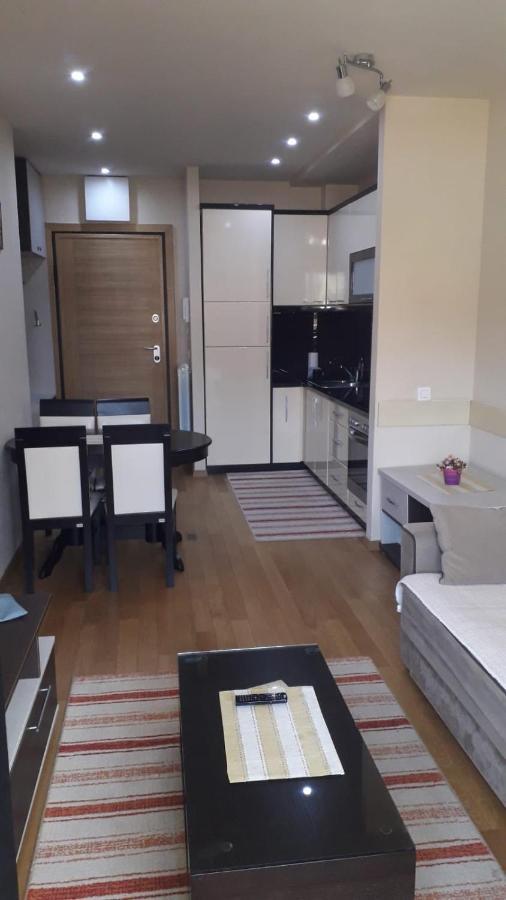 Apartman Dragisic Kalman J15,D8 兹拉蒂博尔 外观 照片